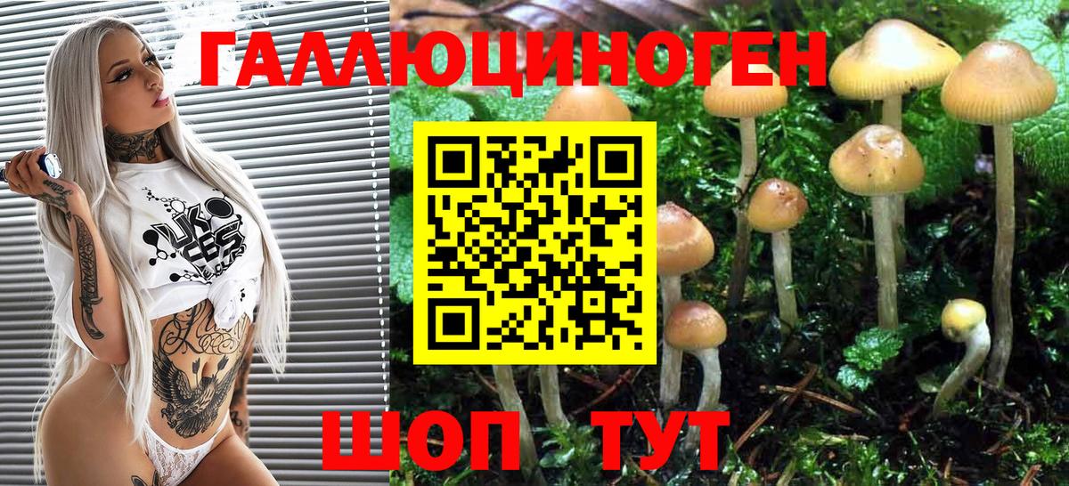 Галлюциногенные грибы Psilocybe Назарово